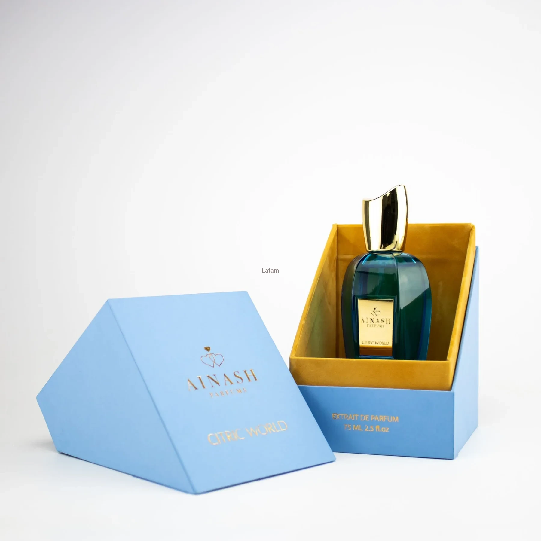 AINASH PARFUMS Citric World by Ainash Parfums 100ml