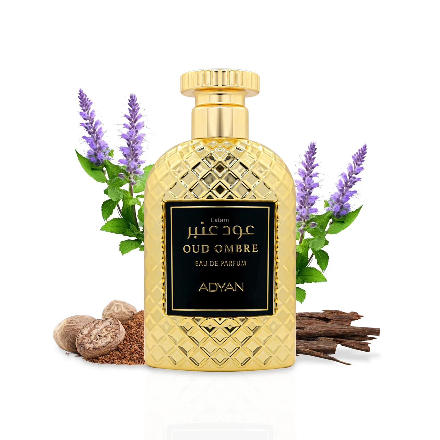 Oud Ombre 100ml